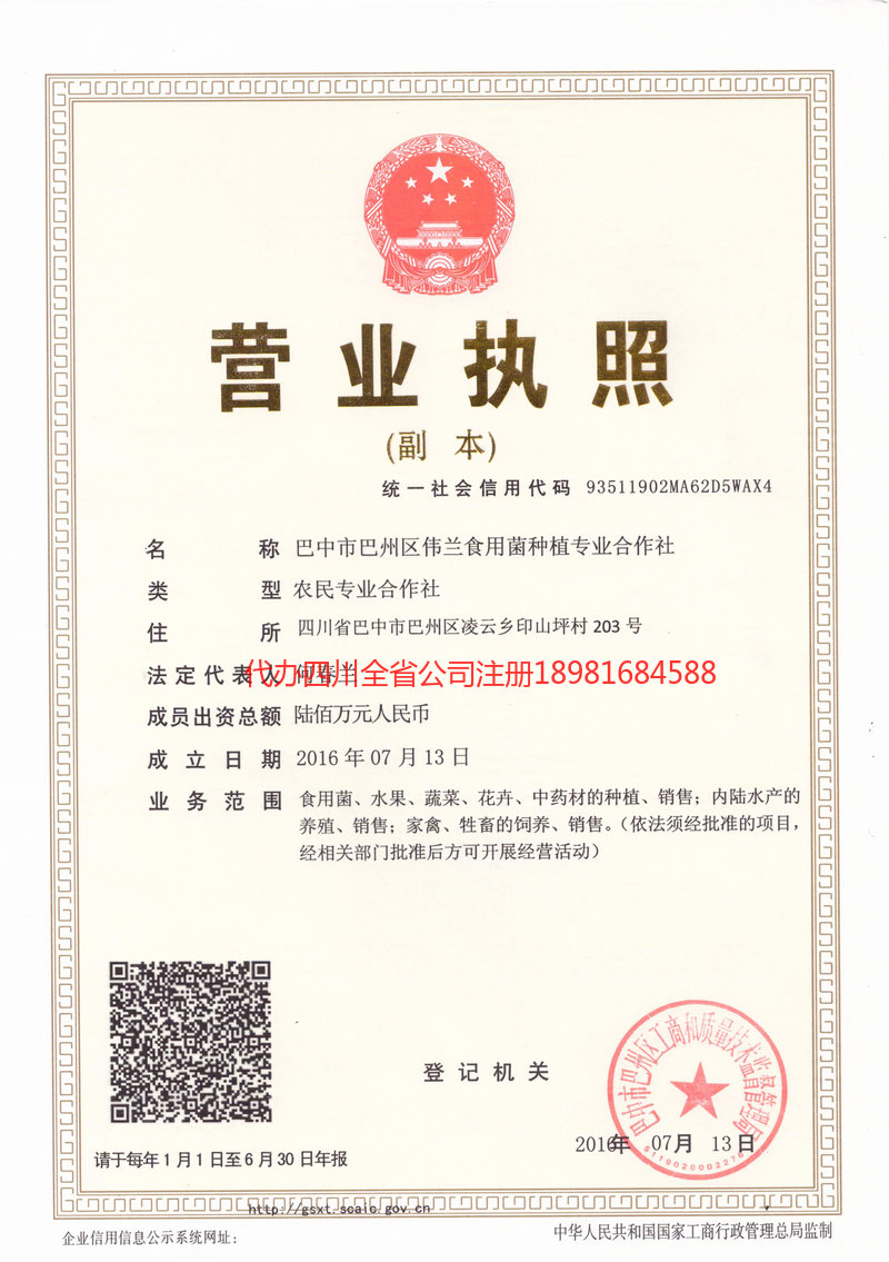 汉中汉中伟兰食用菌种植专业合作社